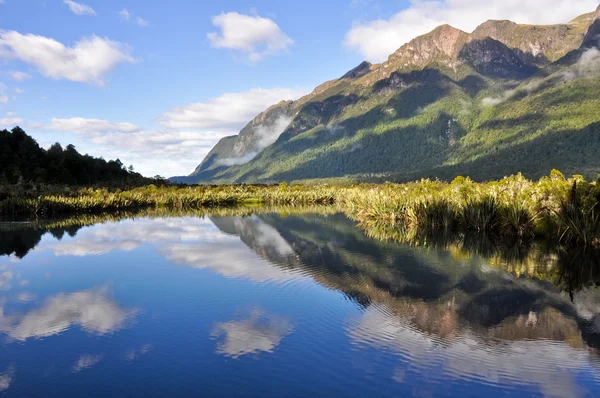 Zrcadlo jezera, milford zvuk (Nový Zéland) — Stock fotografie