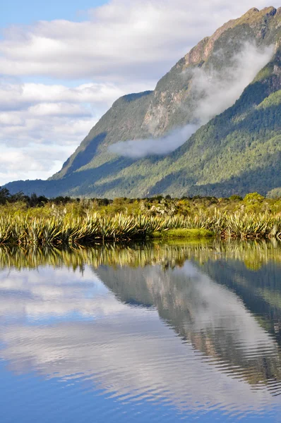 Mirror lakes, Milford Sound (Новая Зеландия) ) — стоковое фото