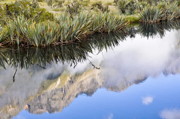 反映在镜子的湖泊，米尔福德声音 （新西兰) — 图库照片