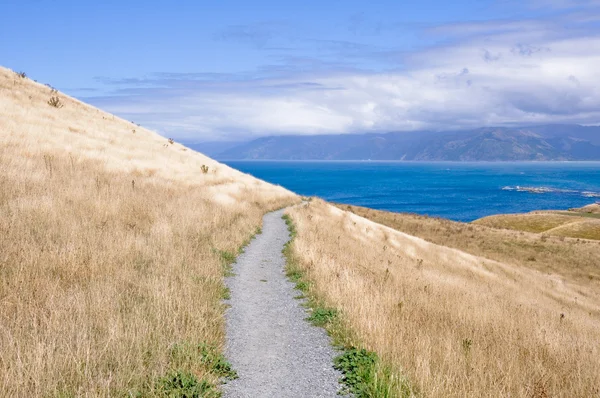 Kaikoura Peninsula Walkway, Nova Zelândia — Fotografia de Stock