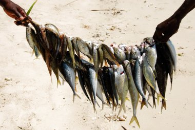 pangane Mozambik, balıkçılık