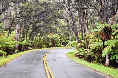 zinciri kraterler road, hawaii yanardağlar Milli Parkı