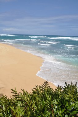 Kauai (Hawaii plajda)