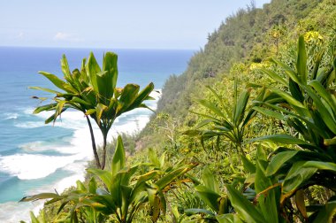 Na Pali Coast trail, kauai island clipart