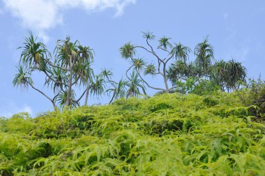 na pali kenarı, kauai (hawaii)