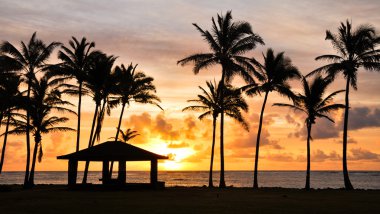 kauai, hawaii güneş doğarken