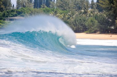 Waves breaking on the shore of Maui clipart