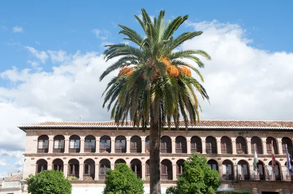 ロンダの旧市庁舎、マラガ （スペイン) — ストック写真