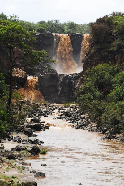 阿瓦什国家公园埃塞俄比亚 — 图库照片