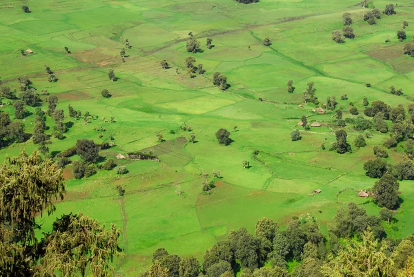 Нагорье Эфиопии — стоковое фото