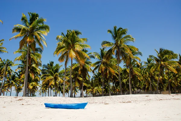 Pangane strand, mozambique — Stockfoto