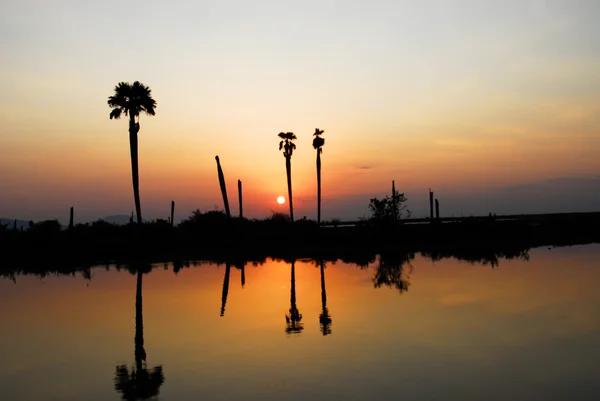 stock image Sunset at lake Manze, Tanzania