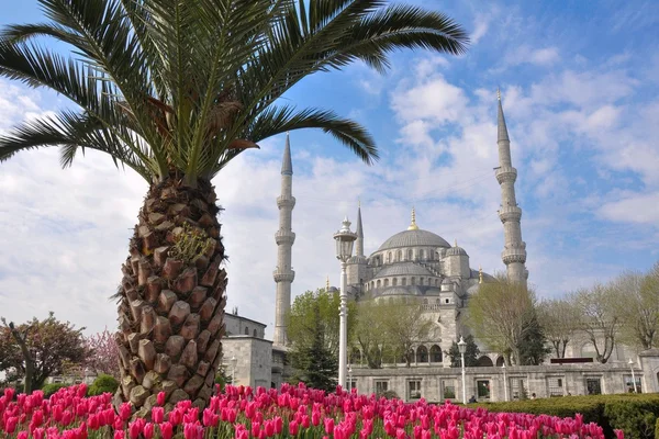 Błękitny Meczet istanbul (Turcja) — Zdjęcie stockowe
