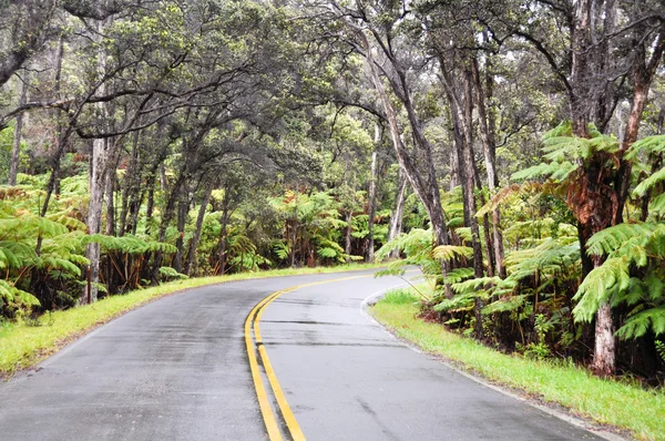 Łańcuch kraterów Road, park Narodowy Wulkany hawaii — Zdjęcie stockowe