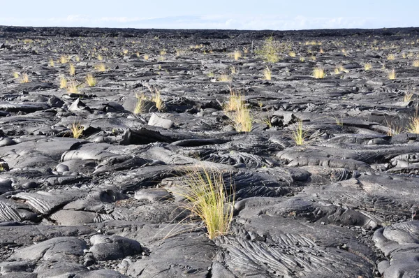 Lava fält, big island, hawaii — Stockfoto