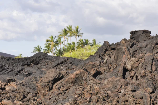 Campo de lava no parque estadual Kekaha Kai, Ilha Grande do Havaí — Fotografia de Stock