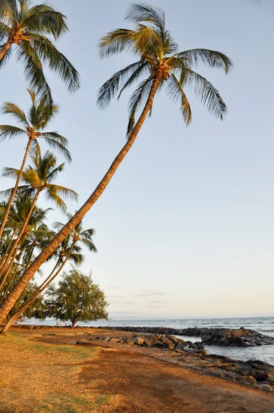 Launiupoko beach, Maui gyönyörű naplementében — Stock Fotó