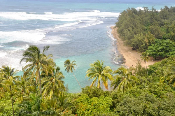 Na Pali Coast trail, Kauai — Stock Photo, Image