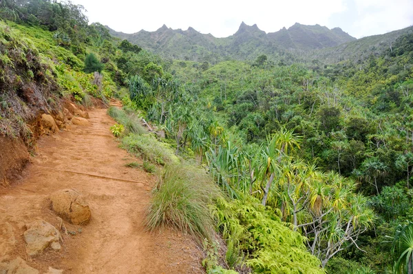 Na Pali kust trail (Hawaii) — Stockfoto