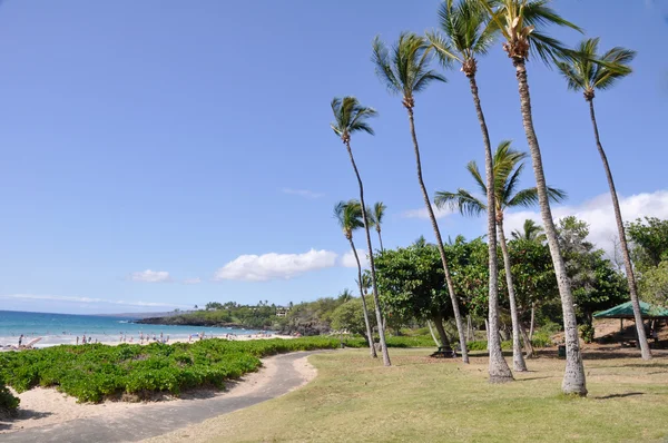 Hapuna beach státní park, velký ostrov hawaii — Stock fotografie