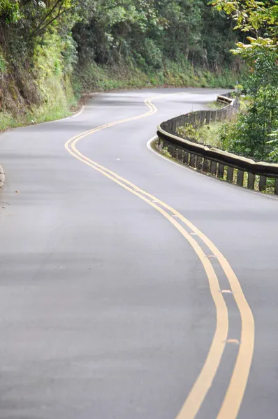 Hana Maui için yol — Stok fotoğraf