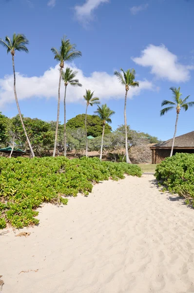 Hapuna beach park stanowy, duże wyspy Hawaje — Zdjęcie stockowe