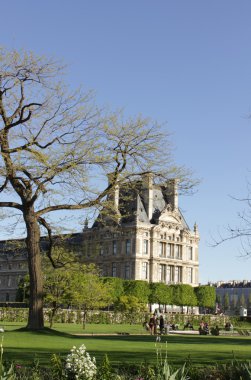 lourve