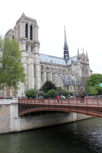 Cathédrale Notre Dame — Photo
