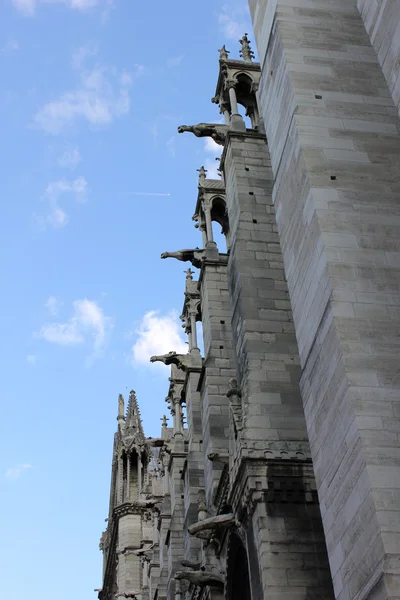 Notre Dame Katedrali