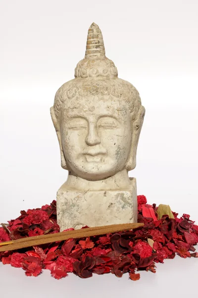 Buda'nın yüzü — Stok fotoğraf