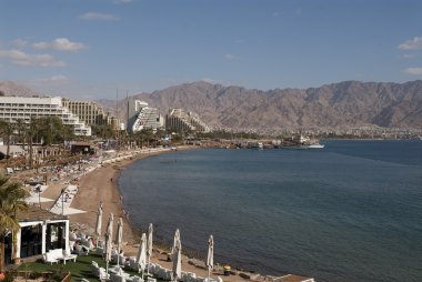 Winter in Eilat clipart