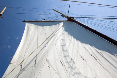 Big sail clipart