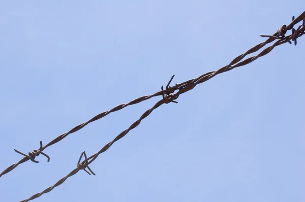 stock image Barbwire