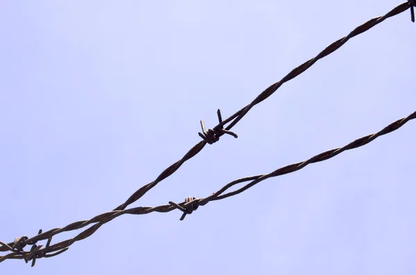 stock image Barbwire