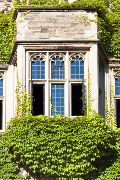 Ventanas — Foto de Stock