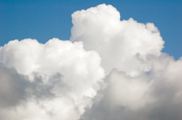 White clouds — Stock Photo, Image