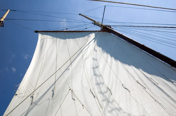 Big sail — Stock Photo, Image
