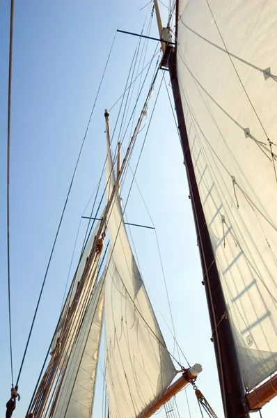 Big sails — Stock Photo, Image
