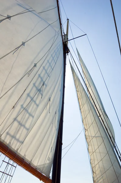 Big sails — Stock Photo, Image