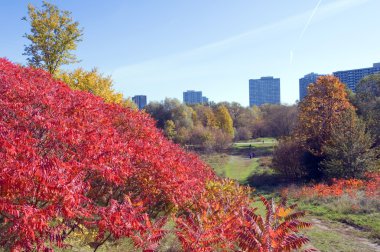 Toronto park