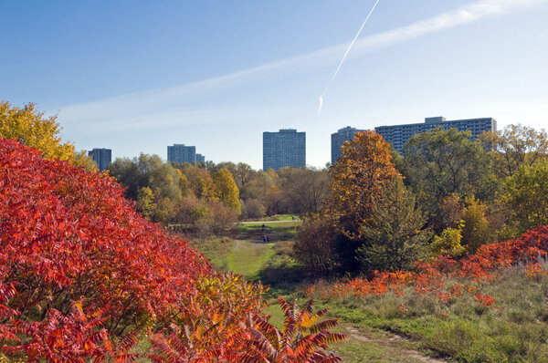 Green grass and colorful trees in one of Toronto park