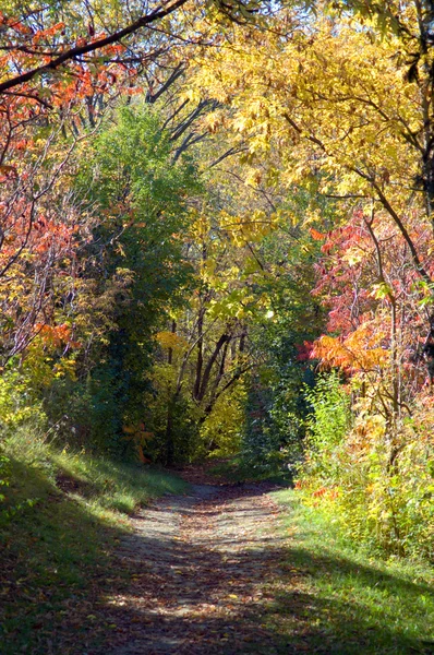 stock image Path