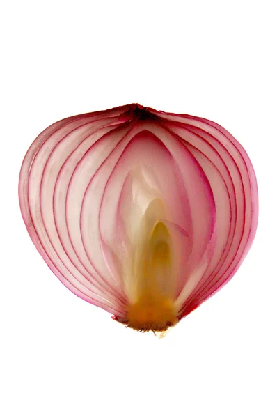 stock image Slice of onion