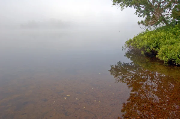 Brouillard au-dessus du lac — Photo
