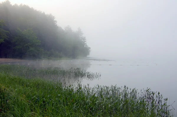 Strobg fog — Stock Photo, Image