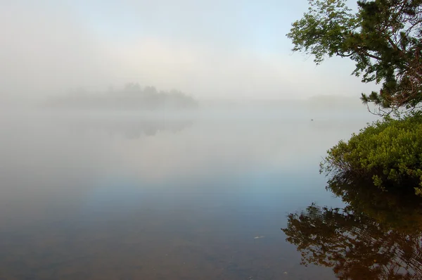 Nevoeiro acima do lago — Fotografia de Stock