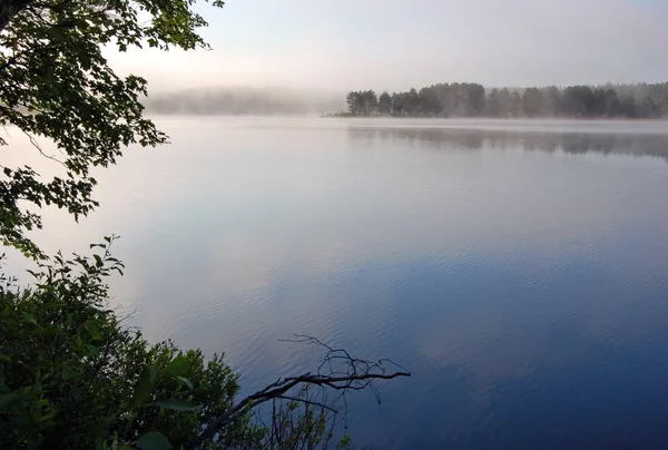Brouillard au-dessus du lac — Photo