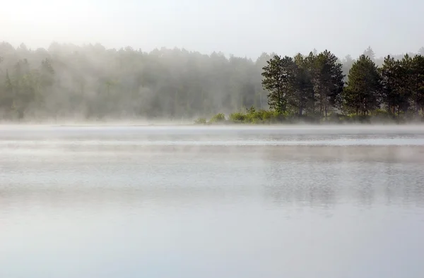 Yaz aylarında göl — Stok fotoğraf