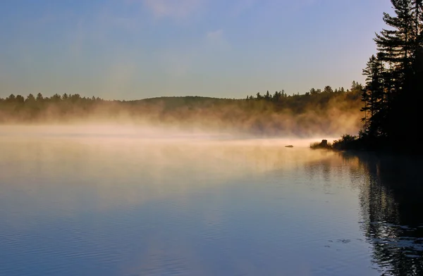 Lago da floresta — Fotografia de Stock