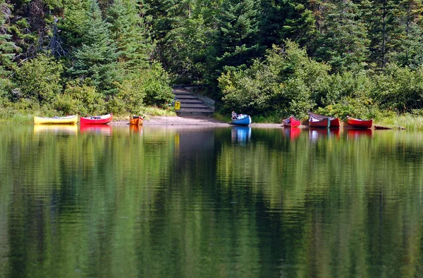 stock image Forest lake